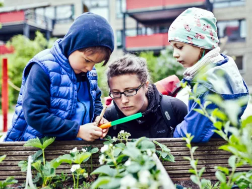 Zwei Kinder und eine Frau schauen, was in einem Hochbeet wächst.